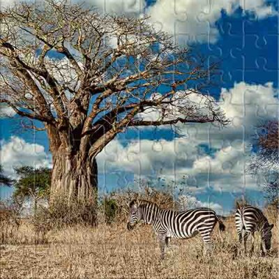 Baobab and Zebras Jigsaw Puzzle
