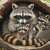 Famille de ratons laveurs Puzzle