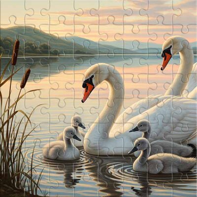 Famille de cygnes sur un lac paisible Puzzle