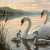 Swan Family on a Peaceful Lake Jigsaw Puzzle