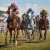 La recta final en la carrera de caballos Rompecabezas