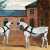 Grey Carriage Horses in the Courtyard at Putteridge Bury, Hertfordshire (by John Frederick Herring Sr.) Jigsaw Puzzle