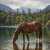 Bay Horse by a Forest Pond Jigsaw Puzzle
