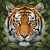 The Tiger's Watchful Gaze Jigsaw Puzzle