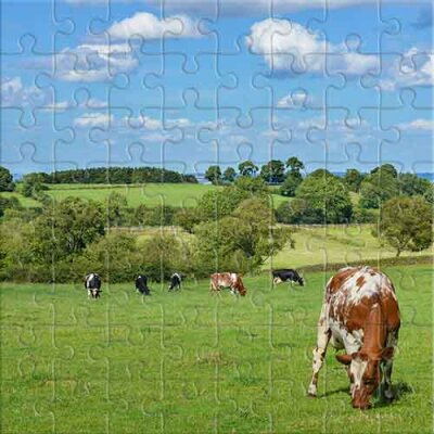 Summer Day in the Pasture Jigsaw Puzzle