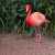 Flamingo Among Green Leaves Jigsaw Puzzle