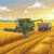 In Harmony with the Field Jigsaw Puzzle In Harmony with the Field Jigsaw Puzzle