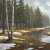 Spring Awakening of the Forest Jigsaw Puzzle Spring Awakening of the Forest Jigsaw Puzzle