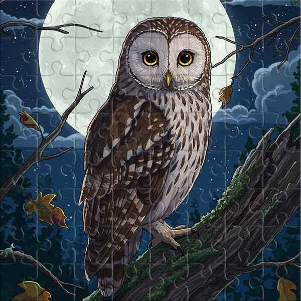 Eule im Mondlicht Puzzle