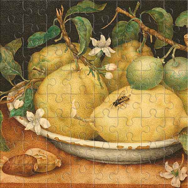 Still Life with Bowl of Citrons (by Giovanna Garzoni) Jigsaw Puzzle