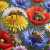 A Vibrant World of Wildflowers and Bees Jigsaw Puzzle