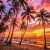 Coucher de soleil tropical Puzzle