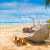 Paradise Vacation Under Palm Trees Jigsaw Puzzle