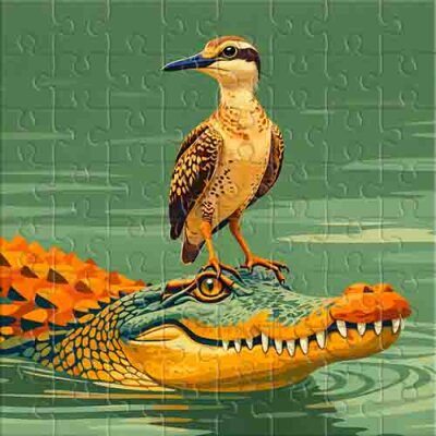 Friends or Coincidence? Jigsaw Puzzle