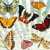 World of Insects Jigsaw Puzzle