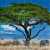 Elefanten in der Afrikanischen Savanne Puzzle