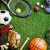 Die Welt des Sports Puzzle