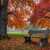 Bank in einem Herbstpark Puzzle