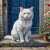 Gato blanco en el umbral de la casa Rompecabezas