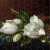 Magnolias on Blue Velvet (Martin Johnson Heade) Jigsaw Puzzle
