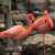 Flamants roses sur une rive rocheuse Puzzle