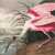 Roseate Spoonbill (John James Audubon) Jigsaw Puzzle