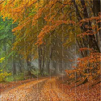 Bosque de otoño, niebla y un camino hacia lo desconocido
