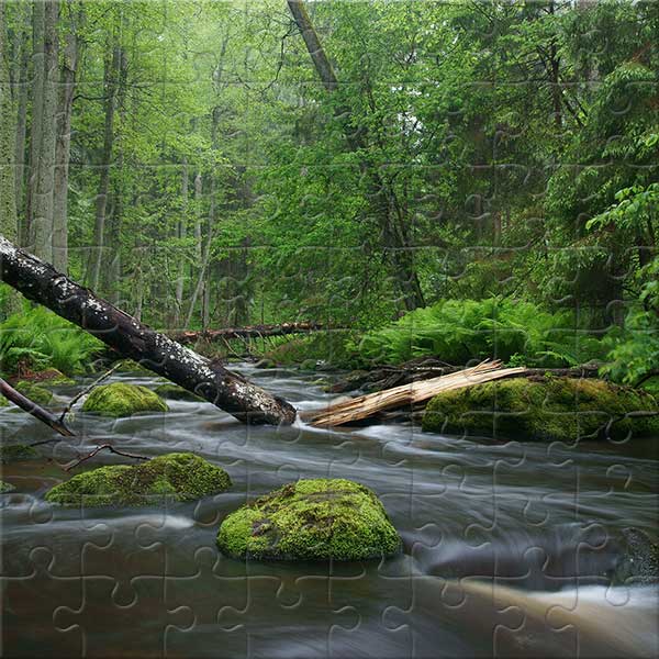 Altja-Fluss im Lahemaa-Nationalpark, Estland Puzzle
