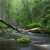 Altja river in Lahemaa National Park, Estonia Jigsaw Puzzle Altja river in Lahemaa National Park, Estonia Jigsaw Puzzle