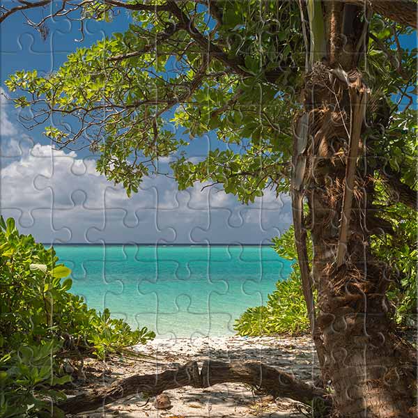 Ein Schritt zum Strand Puzzle