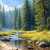 River in the Coniferous Forest Jigsaw Puzzle River in the Coniferous Forest Jigsaw Puzzle