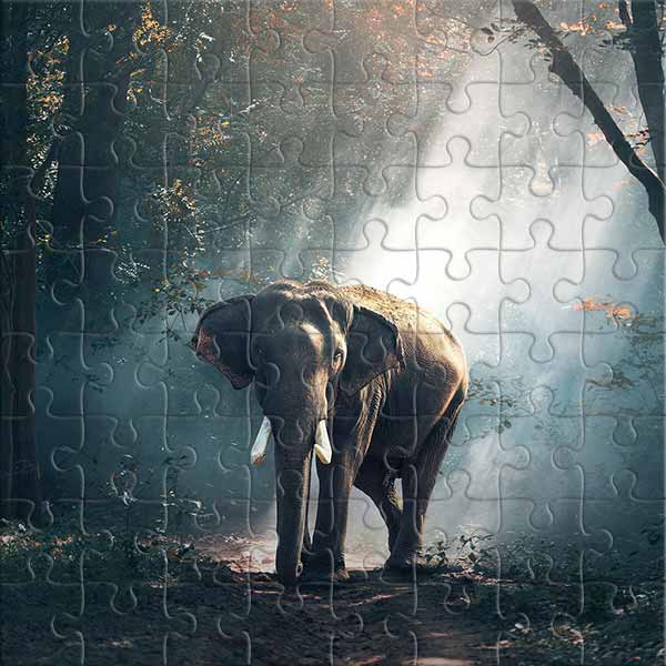 Elefant Puzzle