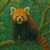 Red Panda Jigsaw Puzzle Red Panda Jigsaw Puzzle